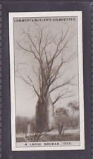 BAOBAB TREE - 90 + year old English Card # 7, used for sale  Shipping to South Africa