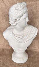 Apollo belvedere bust for sale  Mc Camey