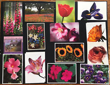 Used, Vintage & Current Floral Postcards Closeups Tulips Roses Impatiens Lillies Iris for sale  Shipping to South Africa