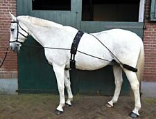New horse lunging for sale  SLOUGH
