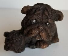 English bulldog pup for sale  San Marcos