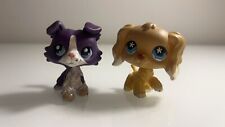 Littlest pet shop gebraucht kaufen  Zolling