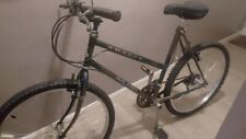 Raleigh amazon ladys for sale  LONDON