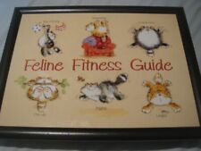 Feline fitness guide for sale  WILMSLOW