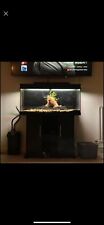 Juwel 180l aquarium for sale  HENLOW