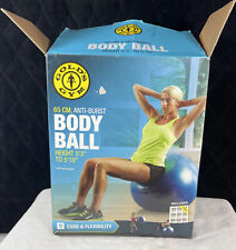 GOLD'S GYM Fitness Body Ball 65 cm con bomba de aire y tabla de ejercicios de hasta 250 libras segunda mano  Embacar hacia Argentina