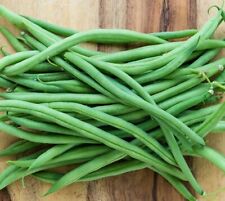 Used, Top Crop Bush Green Beans - Seeds - Non Gmo - Heirloom Seeds – Bean Seeds for sale  Shipping to South Africa