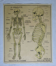 Squelette homme ancienne d'occasion  Blois