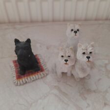 white terrier puppies for sale  AYLESBURY