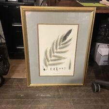 print fern framed for sale  Dover