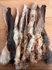 Hairy rabbit ears for sale  AYLESFORD