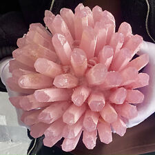 Używany, 12,21LB Naturalny najlepszy różowy kryształowy okaz leczniczy kwiat na sprzedaż  Wysyłka do Poland