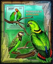Centrafrica 2012 pappagallo usato  Trambileno