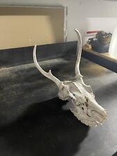 Whitetail deer antlers for sale  Seymour