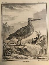 Caccia ornitologia 1780 usato  Roma