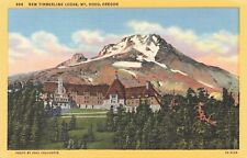 New timberline lodge for sale  Albany