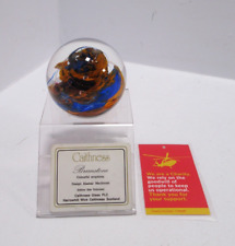 Caithness glass paperweight for sale  STEVENAGE