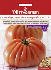 Chsenherz tomaten rugantino gebraucht kaufen  Pulheim