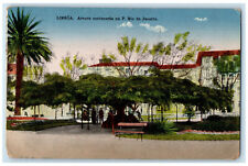 Cartão postal antigo c1910 Arvore Centenaria Na P. Rio de Janeiro Lisboa Brasil comprar usado  Enviando para Brazil