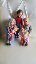 Barbie familie sonnenschein gebraucht kaufen  Schönau