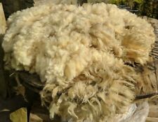 Whole spinning fleece for sale  KIRKWALL