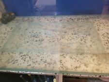 Fish tank aquarium for sale  LONDON