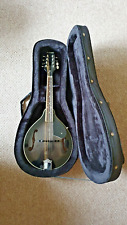 Ashbury style mandolin for sale  ST. IVES