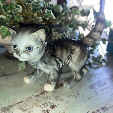 Goebel gray kitten for sale  Harrisburg