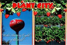Plant city florida for sale  Surprise