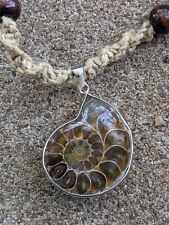 Ammonite fossil necklace for sale  Lenexa