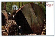 logs sequoia milled for sale  Terre Haute