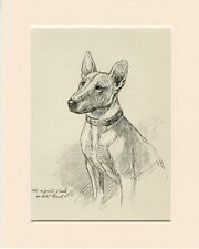 Bull terrier vintage for sale  Shipping to Ireland