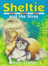 Sheltie sheltie stray for sale  UK