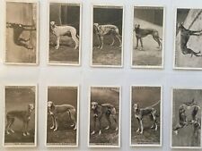 Greyhound racing 1928 for sale  EDENBRIDGE