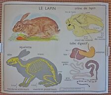 Ancienne affiche scolaire d'occasion  Paris XVIII