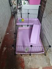 Guinea pig cand for sale  STOKE-ON-TRENT