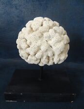 Ancien corail blanc d'occasion  Parthenay