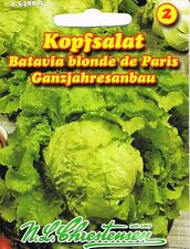 Kopfsalat batavia blonde gebraucht kaufen  Kamenz