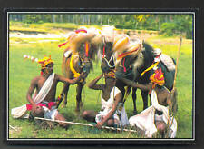 Sumba Pasola Horse Men East Nusatenggara Indonesia  for sale  Shipping to South Africa