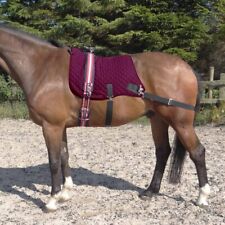 Thermaex equine core for sale  NORTHALLERTON