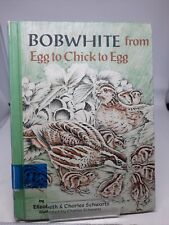 Bobwhite egg chick for sale  Leander