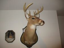 Trophy mounted deer for sale  Newton Center