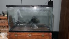 29 gallon fish tank for sale  Washington