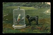 Cartão postal cachorro papagaio pássaro Raphael Tuck vintage 1906, usado comprar usado  Enviando para Brazil