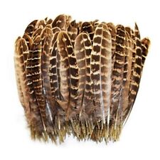 Pheasant feather crafts for sale  Shipping to Ireland