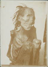 Pérou momie précolombienne d'occasion  Pagny-sur-Moselle