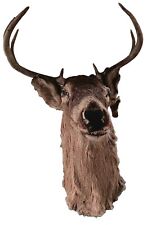 Whitetail point mount for sale  English