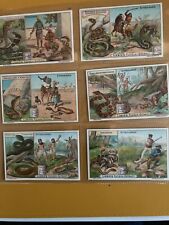 Trade cards liebig for sale  SOUTH SHIELDS