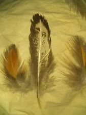 100 chicken feathers for sale  West Shokan