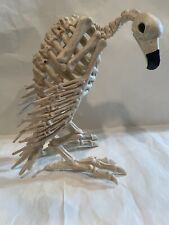 posable halloween skeleton for sale  Alvord
